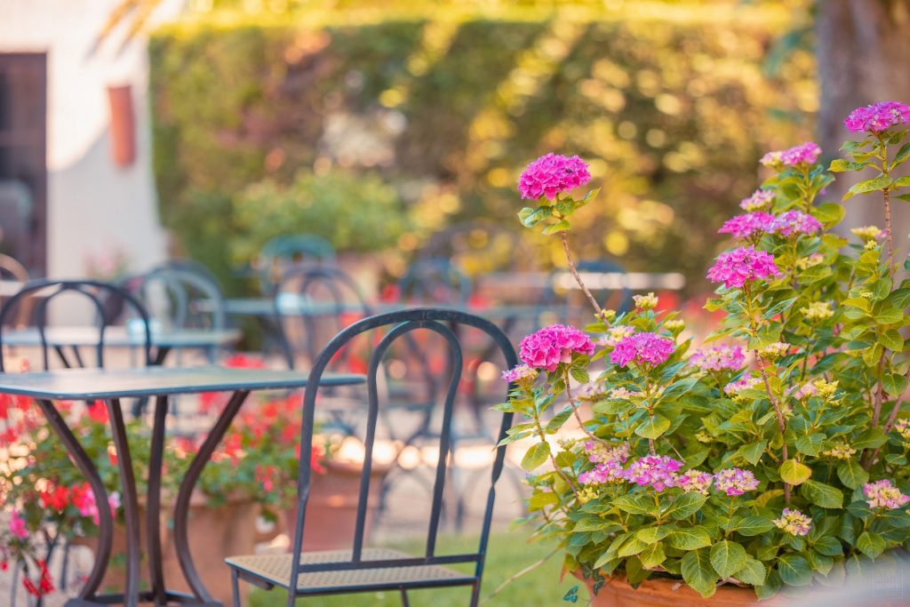 terrace 2