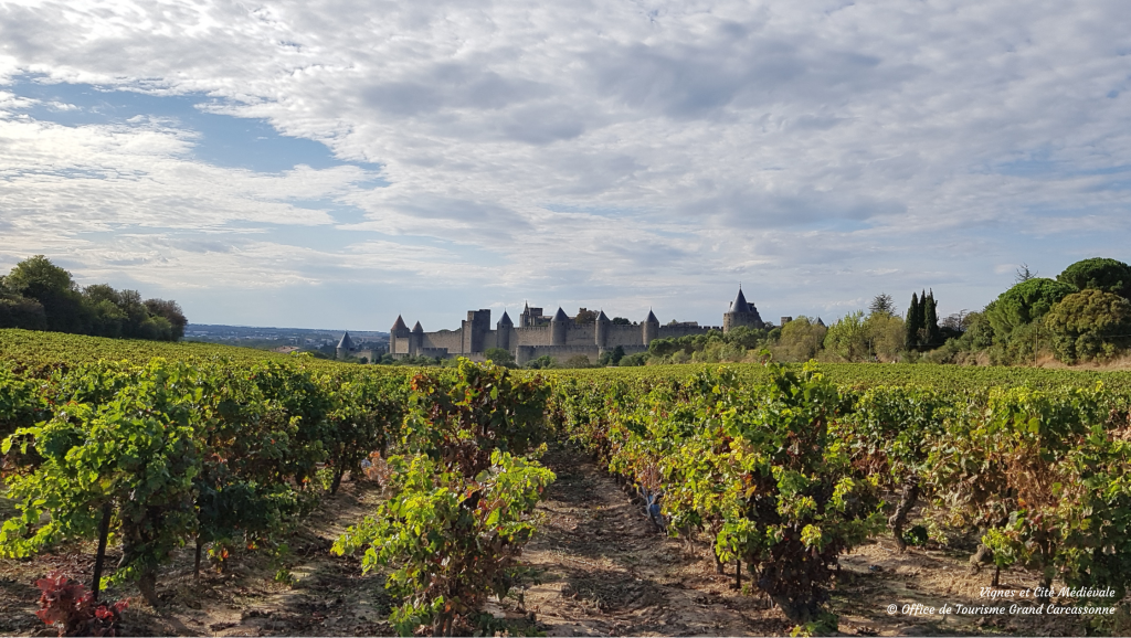 VIGNES ET CITE MEDIEVALE © OFFICE DE TOURISME GRAND CARCASSONNE