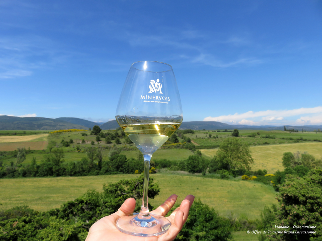 VIGNOBLE OENOTOURISME 2 © OFFICE DE TOURISME GRAND CARCASSONNE