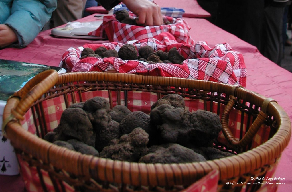 TRUFFES DU PAYS CATHARE © OFFICE DE TOURISME GRAND CARCASSONNE