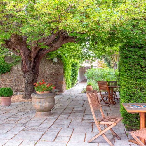 garden 6